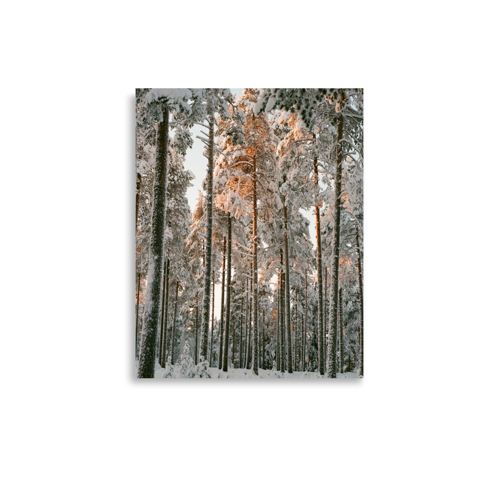 Taivalkoski, Finland on Film (2)