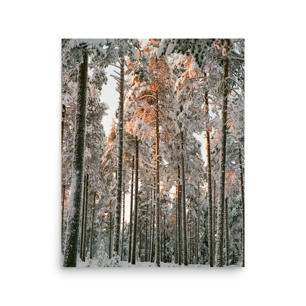 Taivalkoski, Finland on Film (2)